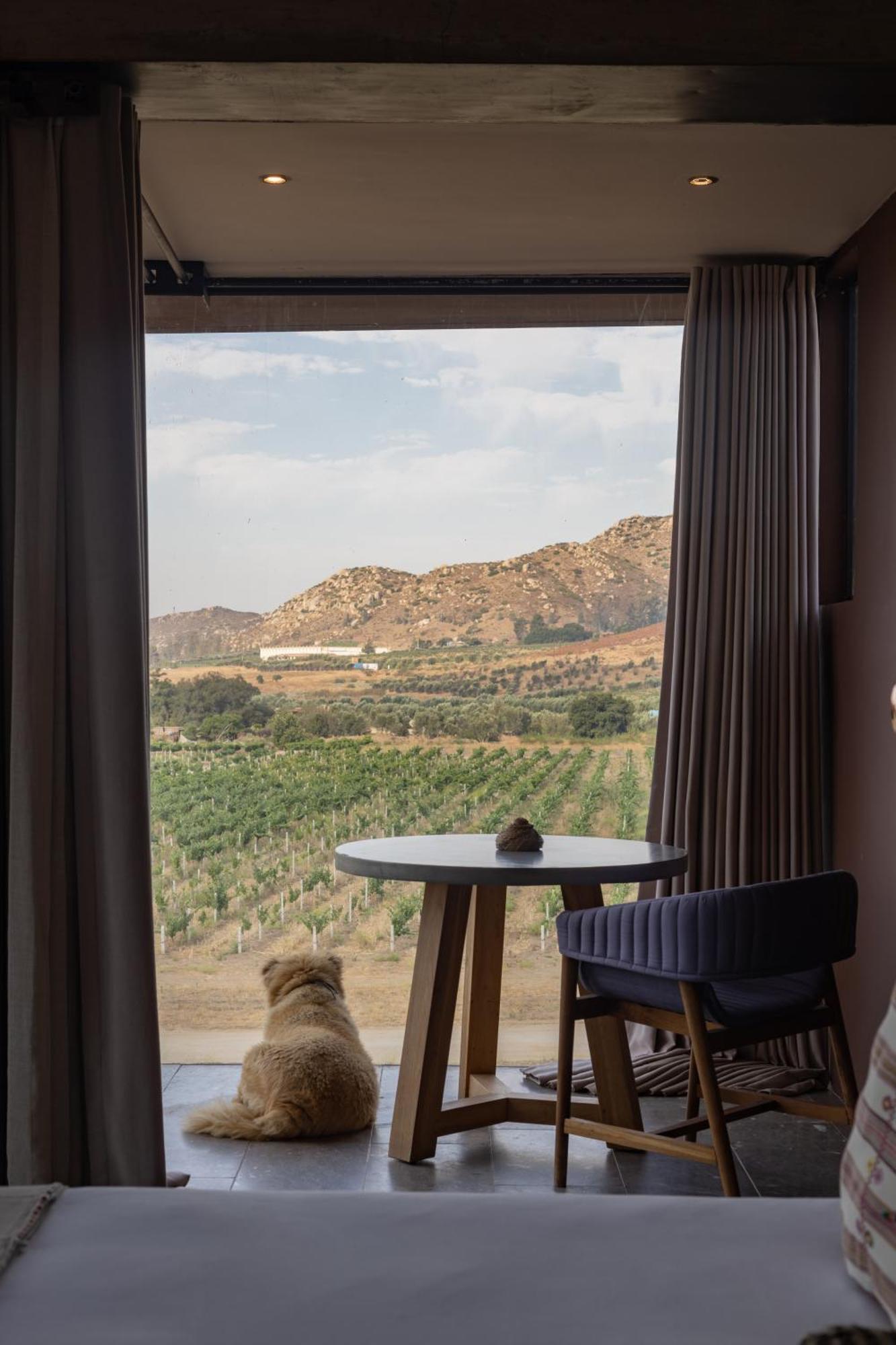 Bruma Wine Resort บาเย เด กัวลาลูเป ภายนอก รูปภาพ