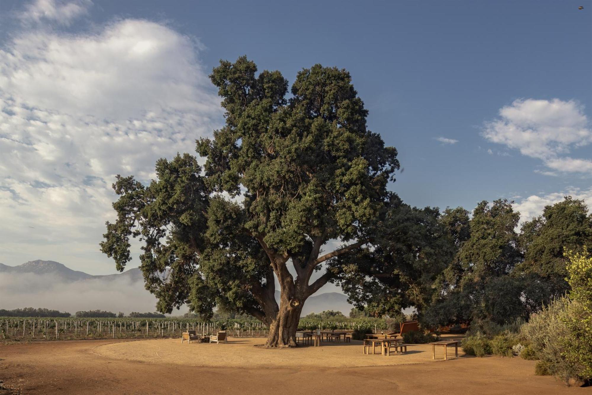 Bruma Wine Resort บาเย เด กัวลาลูเป ภายนอก รูปภาพ